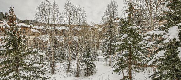 2 bedrooms Cafe / restaurant in Beaver Creek, USA No. 560277 22