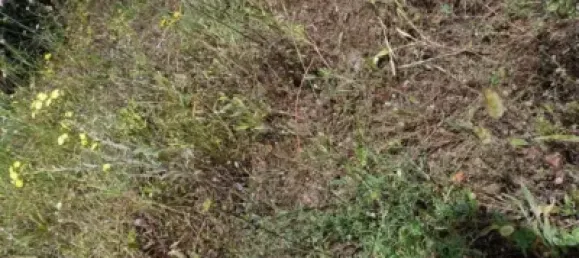 4 bedrooms House in Teulada, Spain No. 134118 23