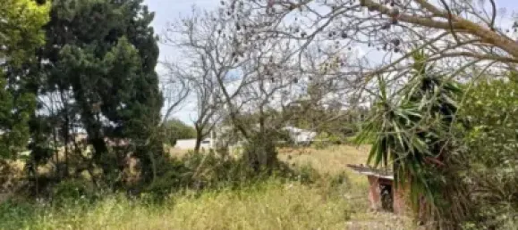 4 bedrooms House in Teulada, Spain No. 134118 24