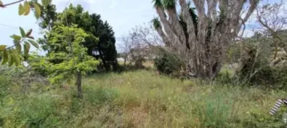 4 bedrooms House in Teulada, Spain No. 134118 15