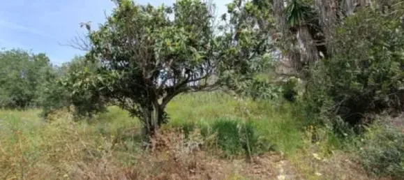 4 bedrooms House in Teulada, Spain No. 134118 20