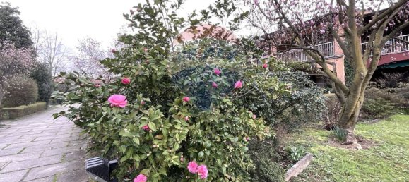 3 bedrooms Apartment in Arese, Italy No. 170012 34