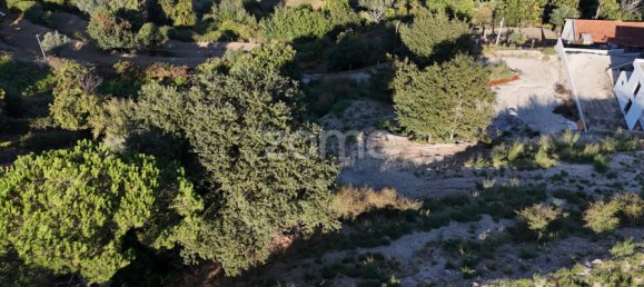 718m² Land in Gondufe, Portugal No. 84526 11