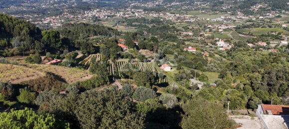 718m² Land in Gondufe, Portugal No. 84526 14