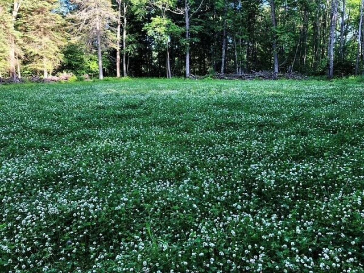  Land in Longville, USA No. 506765