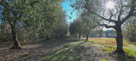 4 غرف نوم منزل في Foiano della Chiana, Italy رقم 87733 8