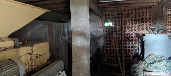 2 bedrooms House in Tomar, Portugal No. 30418 8