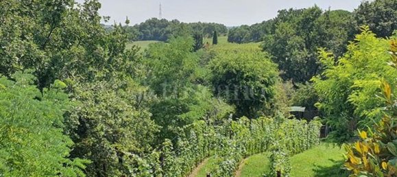 6غرفة فيلا في Lonato del Garda, Italy رقم 198547 9