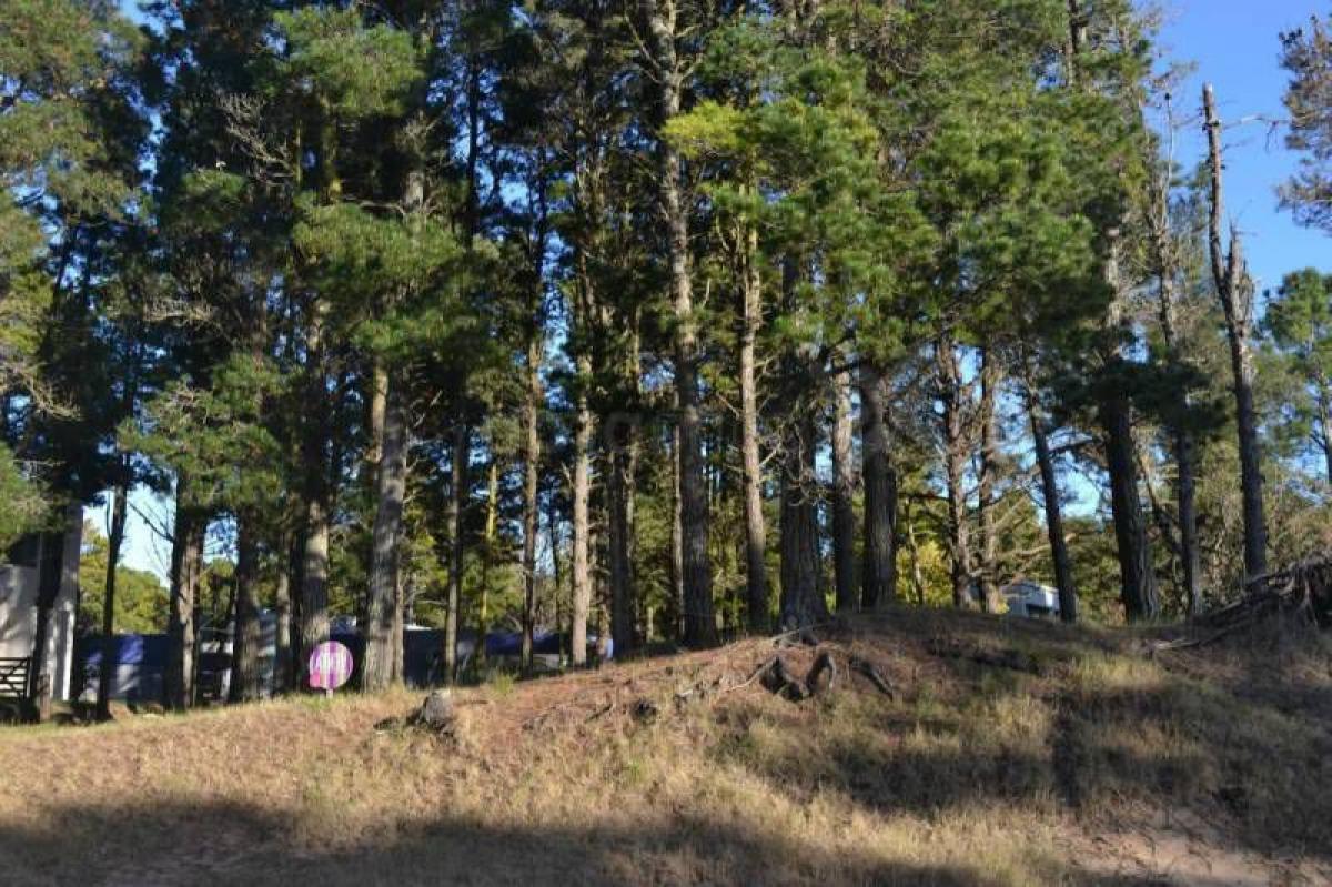  Land in Mar del Plata, Argentina No. 110319