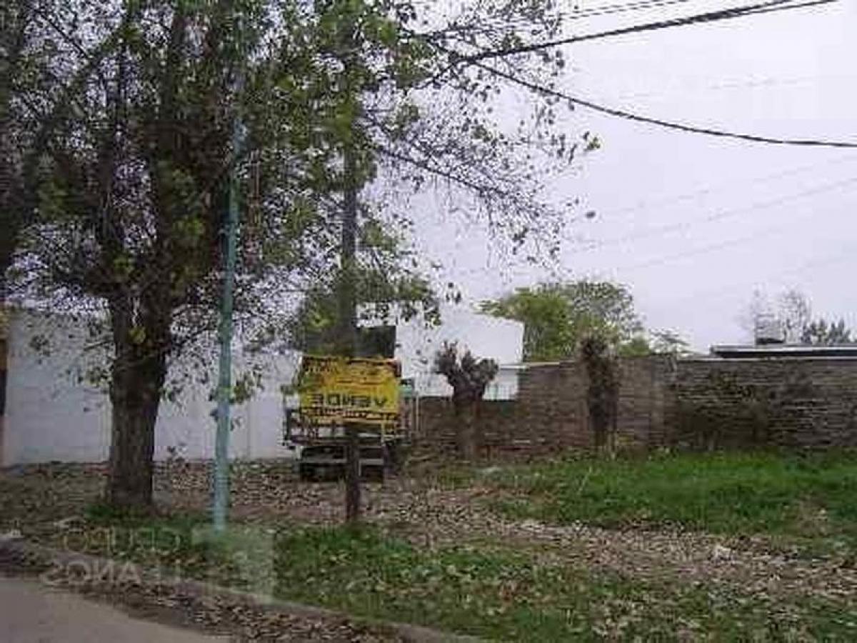  Land in Lujan, Argentina No. 42983