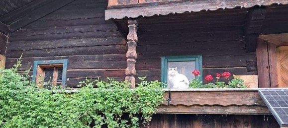 5 rooms House in Munderfing, Austria No. 173280 2