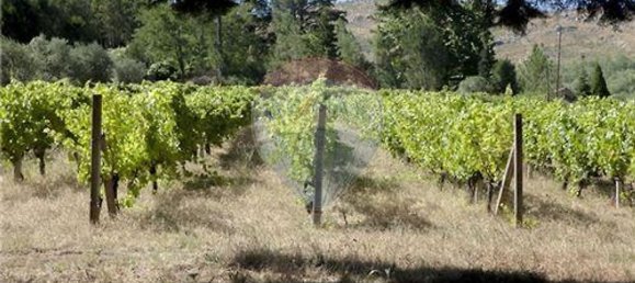 Gebäude in Abrunhosa a Velha, Portugal 824m², Nr. 41398 34