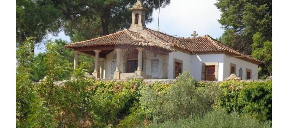 Gebäude in Abrunhosa a Velha, Portugal 824m², Nr. 41398 31