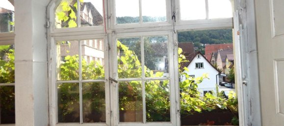 Edificio de 20 habitaciónes en Baden-Wurttemberg, Germany No. 3052 3