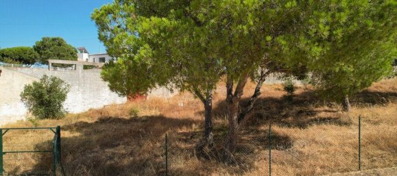 3326m² Land in Faro, Portugal No. 142323 5