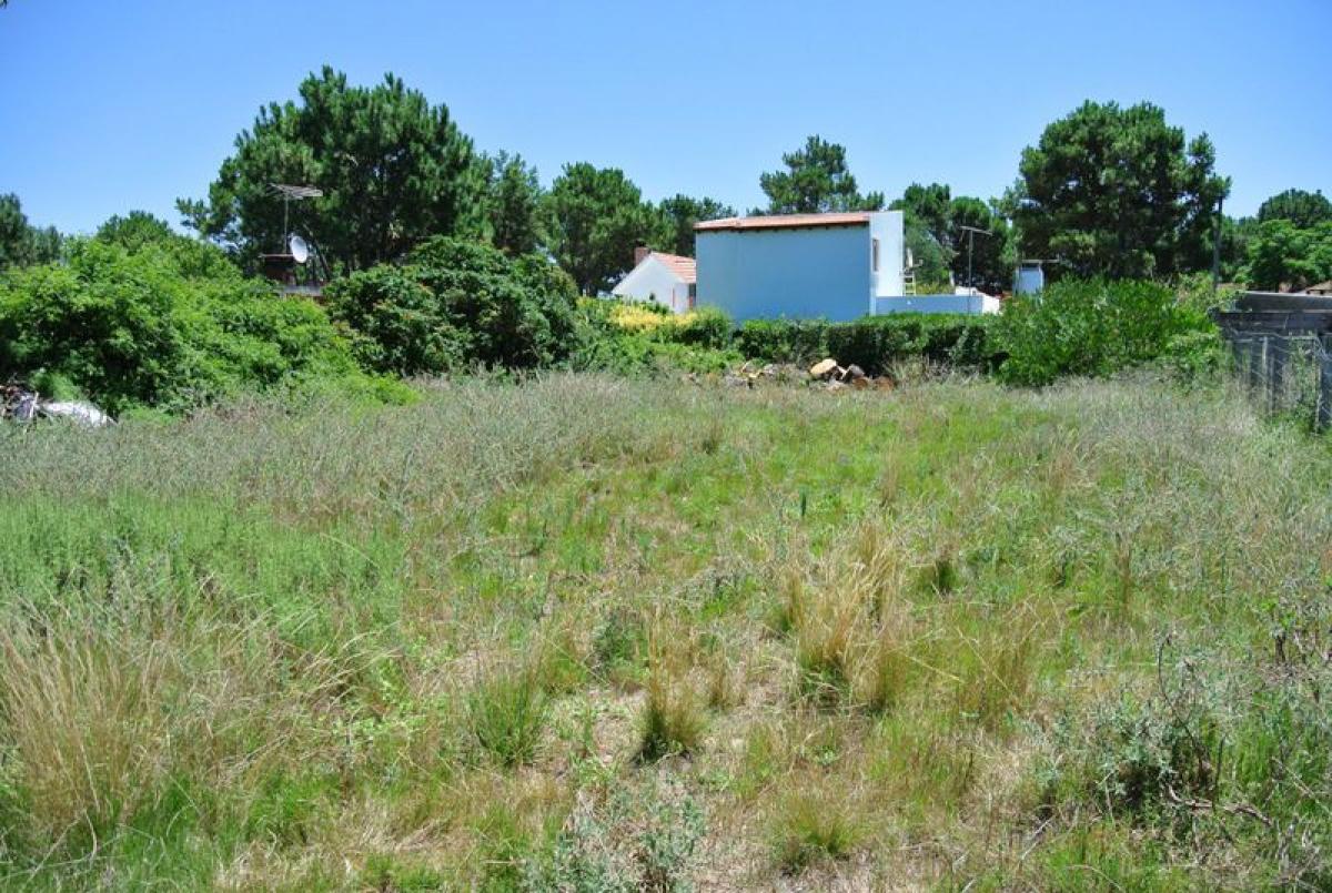  Land in Maldonado, Uruguay No. 14230