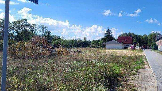  قطعة أرض في Oder-Spree, Germany 100متر مربع رقم 273951