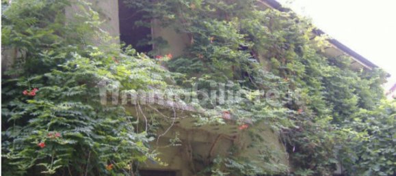 5 rooms Building in Gallarate, Italy No. 307851 11