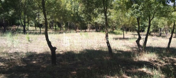 Casa T5 em Viseu, Portugal N.º 58300 34