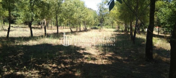 Casa T5 em Viseu, Portugal N.º 58300 32