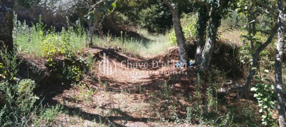 Casa T5 em Viseu, Portugal N.º 58300 36