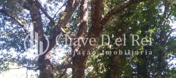 Casa T5 em Viseu, Portugal N.º 58300 41