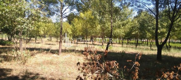 Casa T5 em Viseu, Portugal N.º 58300 43