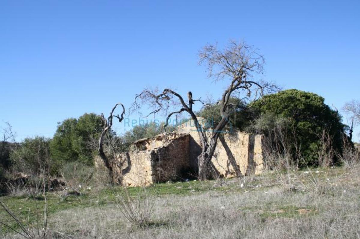 Grundstück in Faro, Portugal, Nr. 9037