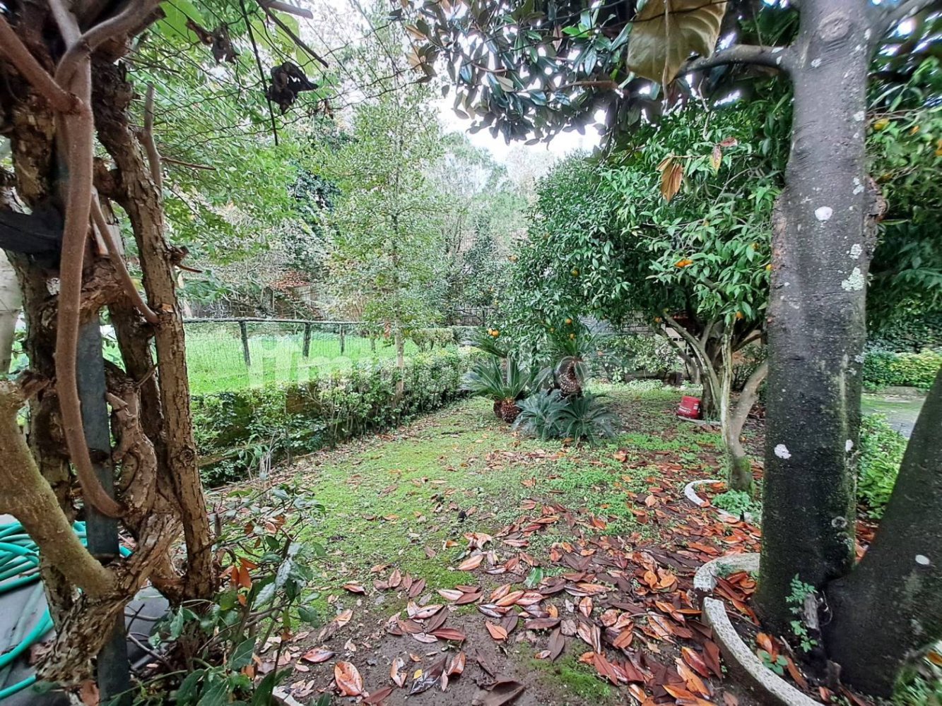 5 bedrooms Apartment in Naples, Italy No. 129084