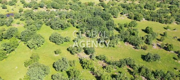 Terreno en El Escorial, Spain 1360000 m² No. 190423 22