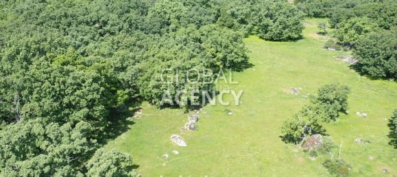 Terreno en El Escorial, Spain 1360000 m² No. 190423 17