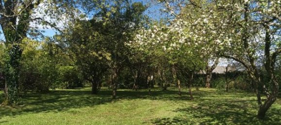 2 bedrooms House in Mayenne, France No. 307467 5