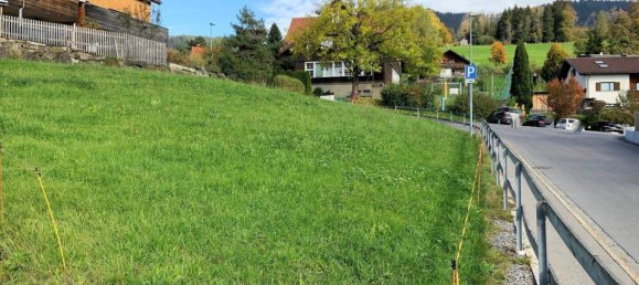 Grundstück in Dornbirn, Austria, Nr. 62233 12