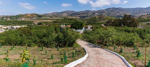 Дом с 3 спальнями в Кампанильяс, Испания № 43085 46