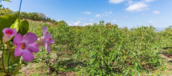 Дом с 3 спальнями в Кампанильяс, Испания № 43085 31