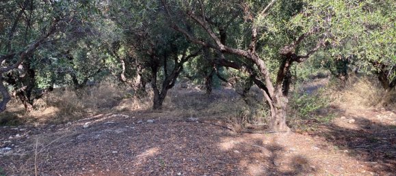 2019m² Hotel in Vamos, Greece No. 2798 4