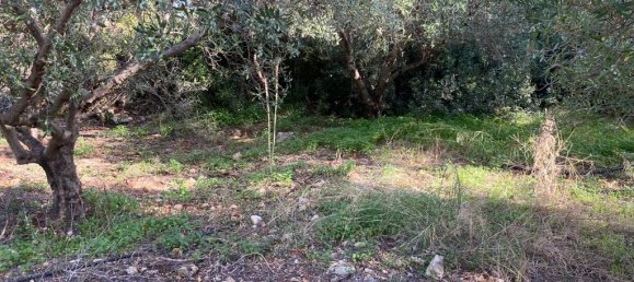 2019m² Hotel in Vamos, Greece No. 2798 2