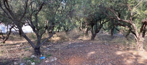 2019m² Hotel in Vamos, Greece No. 2798 5