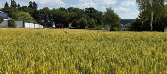 Grundstück in Kohfidisch, Austria, Nr. 131588 3