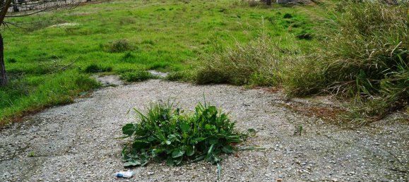 Hôtel à Chalkidiki, Greece 5300m² No. 7282 3