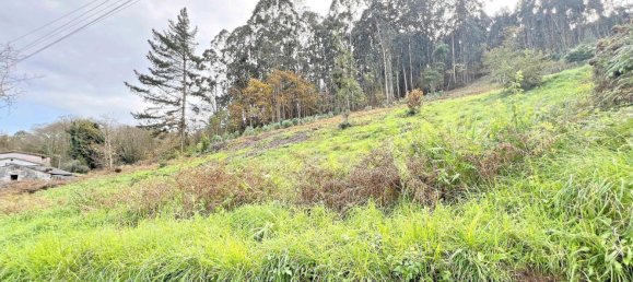 Земельный участок в Олейрос, Испания № 60639 3