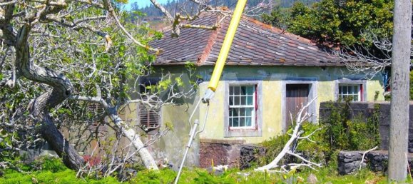 4 chambres Maison à Calheta, Portugal No. 72838 16
