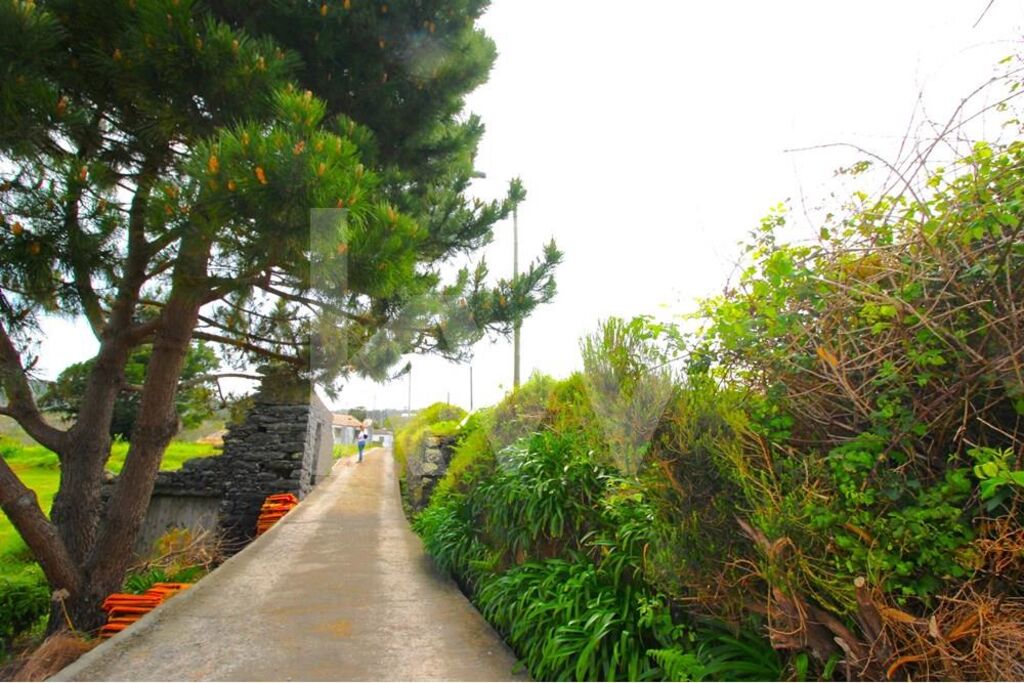 4 chambres Maison à Calheta, Portugal No. 72838