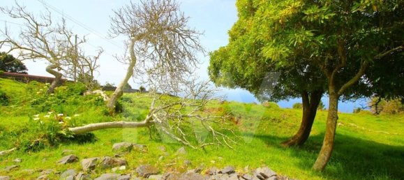 4 chambres Maison à Calheta, Portugal No. 72838 47
