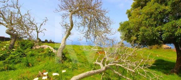 4 chambres Maison à Calheta, Portugal No. 72838 40