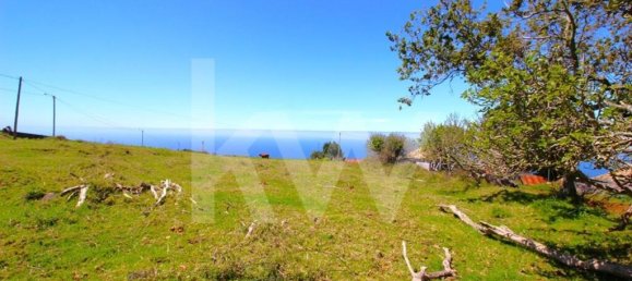 4 chambres Maison à Calheta, Portugal No. 72838 5