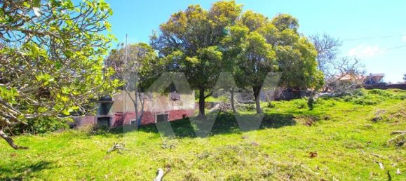 4 chambres Maison à Calheta, Portugal No. 72838 9
