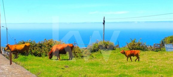4 chambres Maison à Calheta, Portugal No. 72838 13