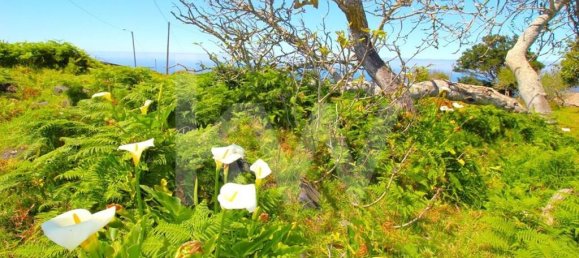 4 chambres Maison à Calheta, Portugal No. 72838 41