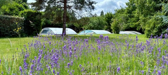 5 bedrooms House in Bois-le-Roi, France No. 356800 12